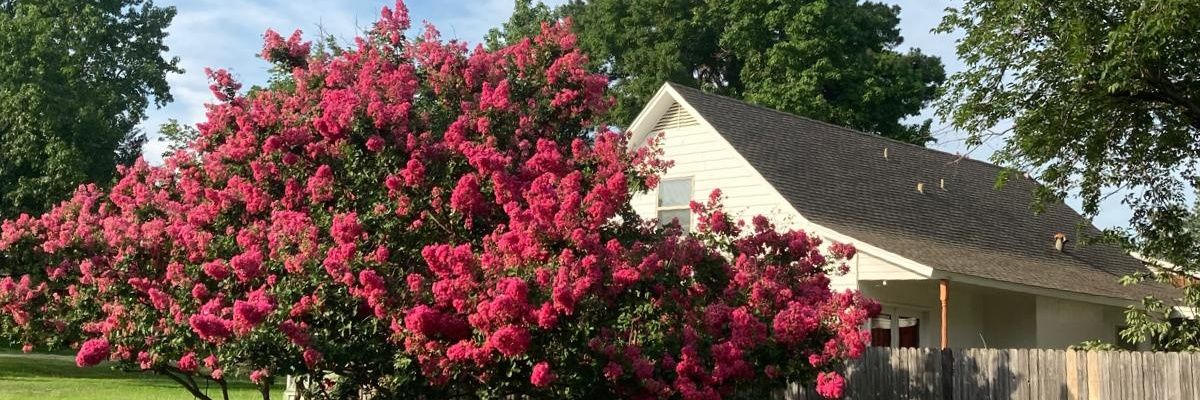KaryyAlarcon's profile banner image