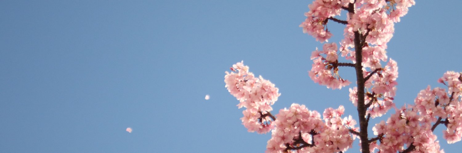 4f0n4t's profile banner image