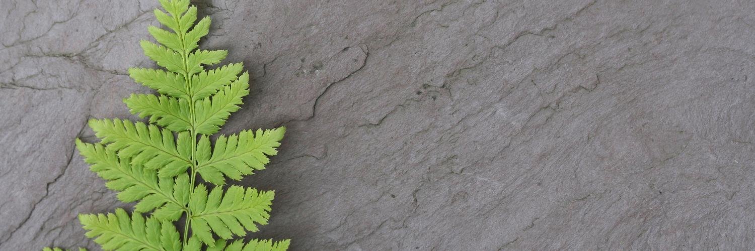 PattersonLawNS's profile banner image