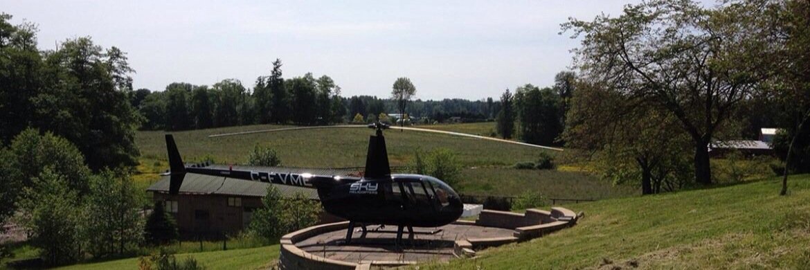 LT | Working Theory banner