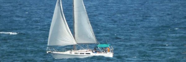 cynthiahollen Profile Banner