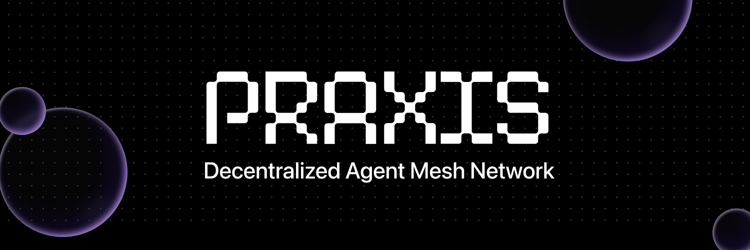 Praxis's banner