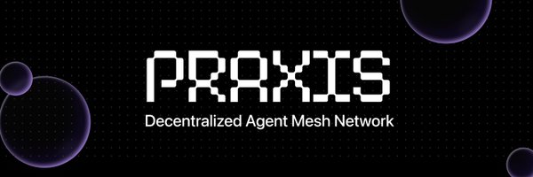 Praxis_Protocol Profile Banner