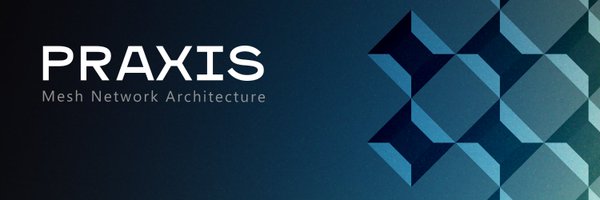 Praxis_Protocol Profile Banner