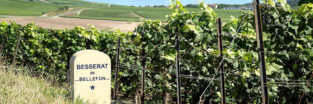 Besserat de Bellefon banner