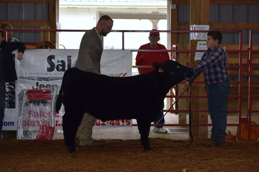 farmboycattle's profile banner image