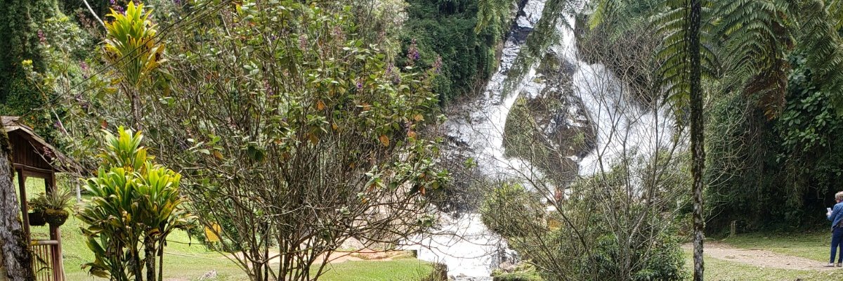 ricastro74's profile banner image