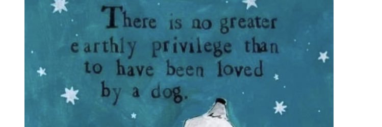 Marguerite Willis, JD banner