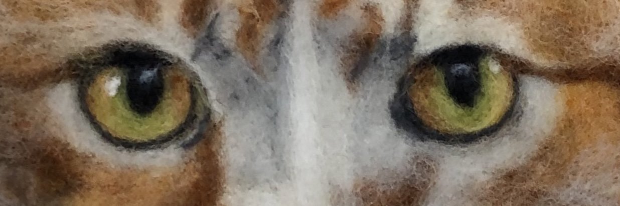 GaiButton's profile banner image