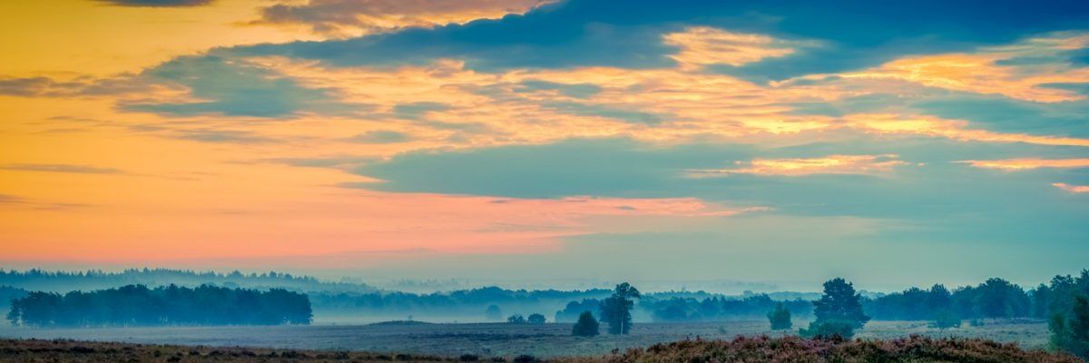 Da_KingJJ's profile banner image