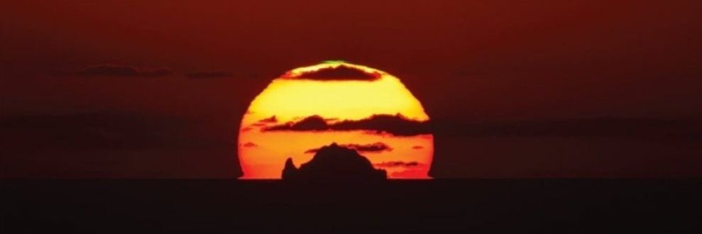 가을 겨울 봄 여름 banner