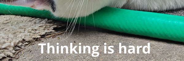 Bucketheadhata1 Profile Banner
