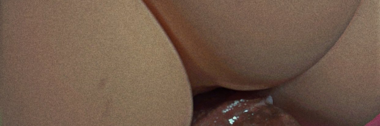 VersVamp's profile banner image