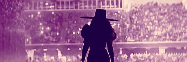 SusannahMarley's profile banner image