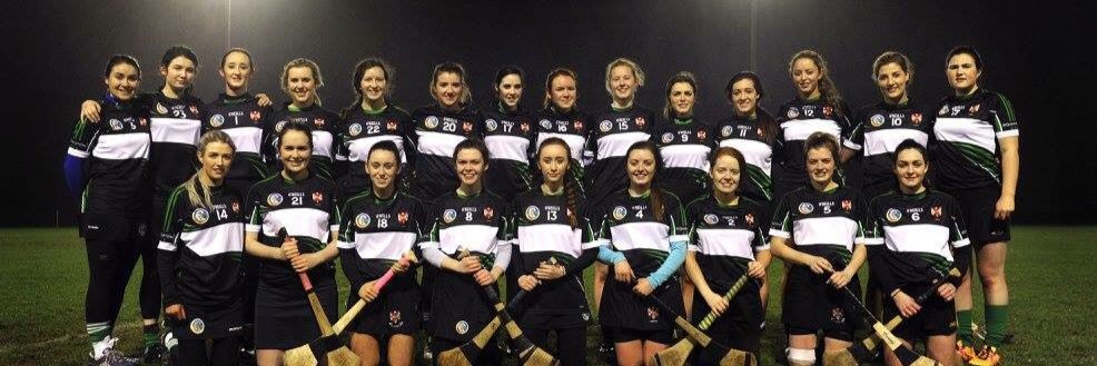 Queen's Camogie Club banner