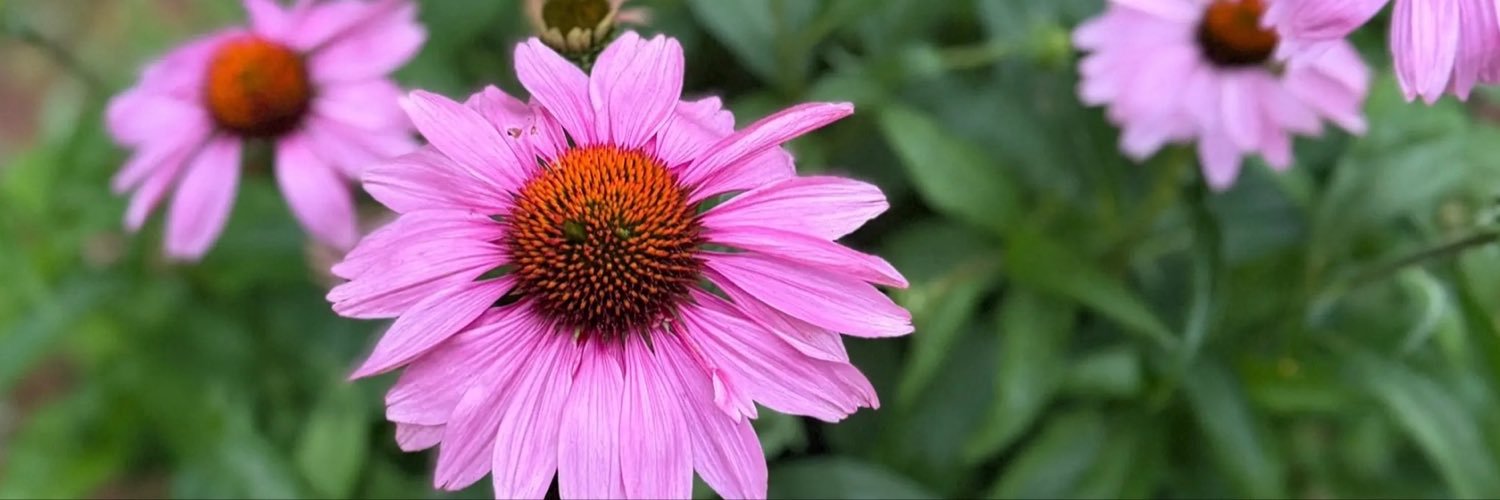 christophergbc's profile banner image