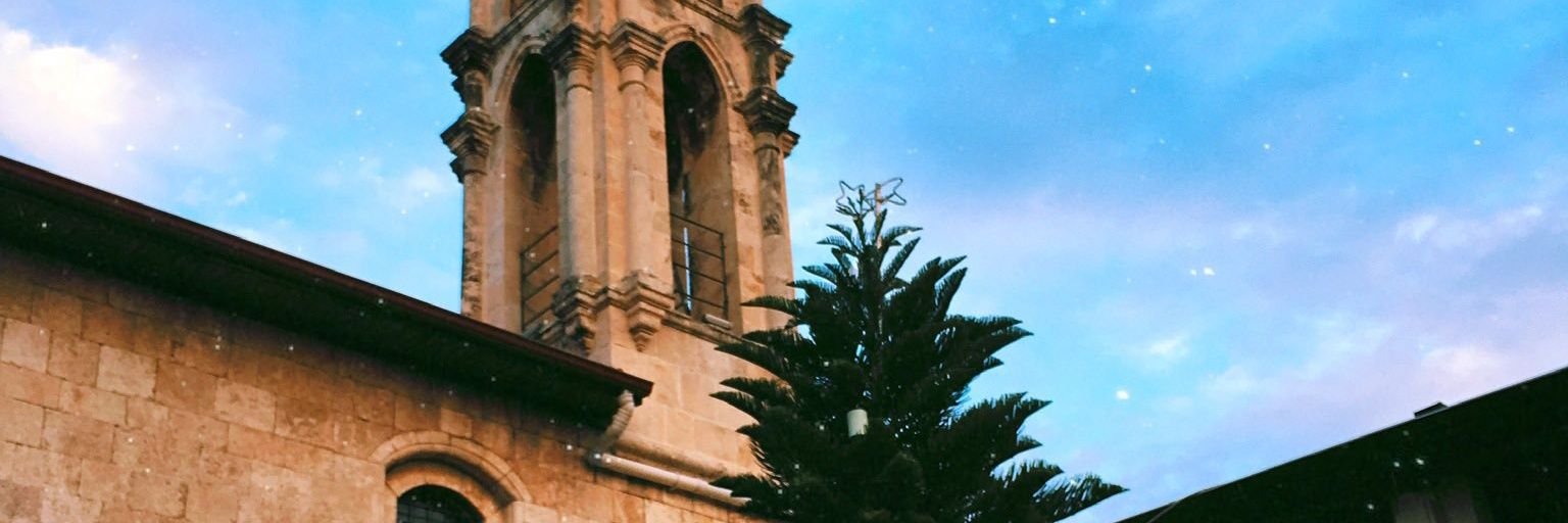 trankobusko's profile banner image