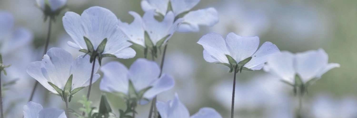 epweak's profile banner image