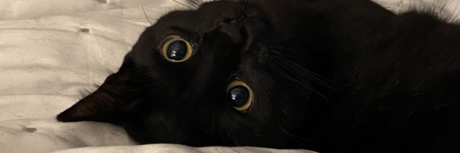 alexkmz's profile banner image