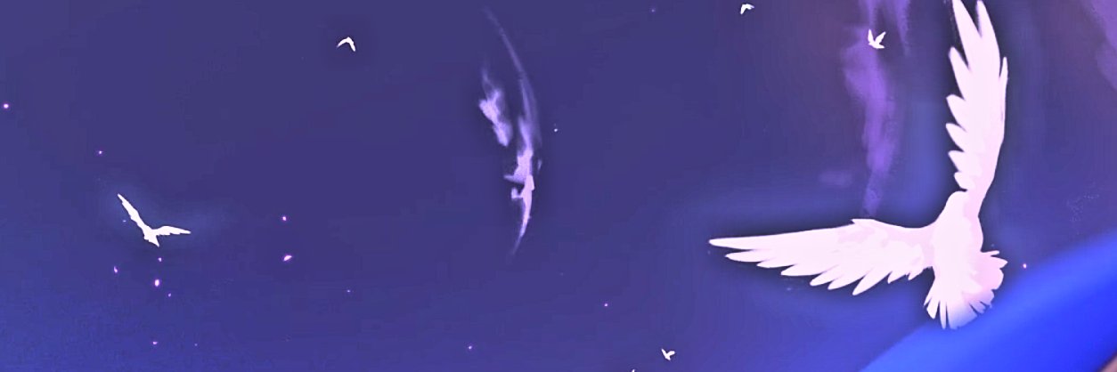 mf9_ng's profile banner image