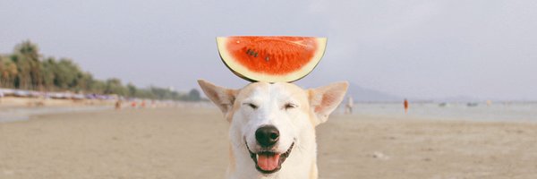 emcmack Profile Banner