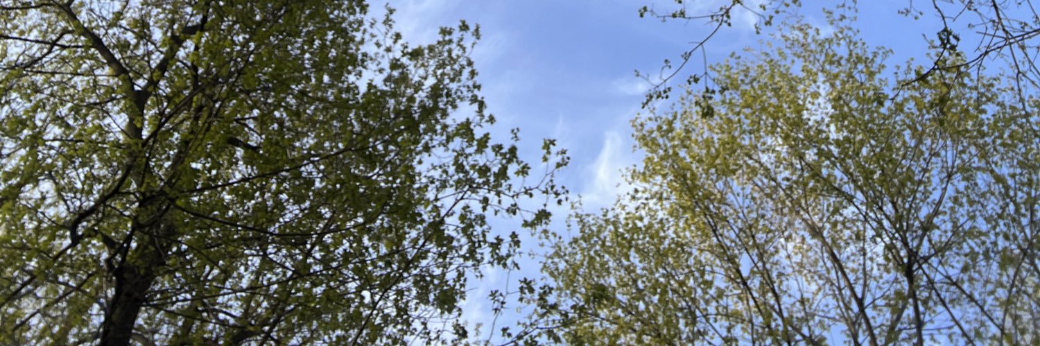 stephhdavis's profile banner image