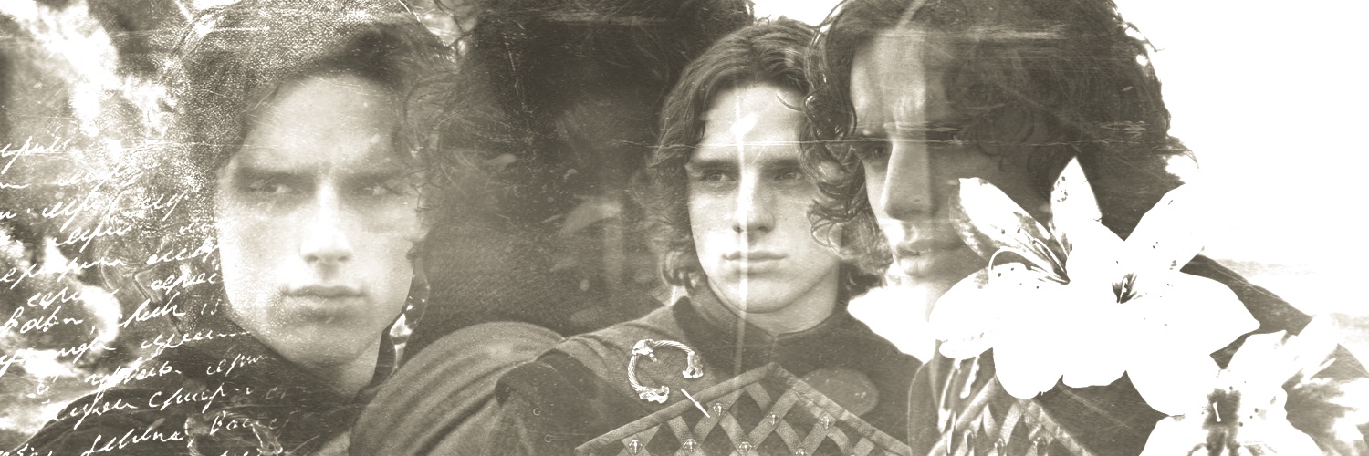 vermrax's profile banner image