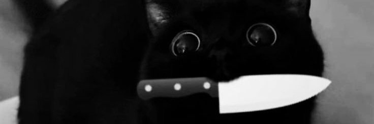 yu___i_03's profile banner image