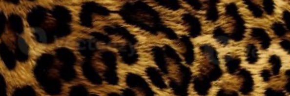 richoffepcs banner