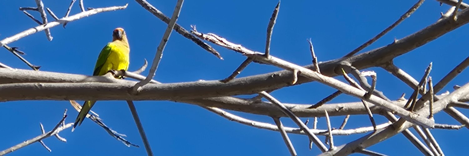 eduaiem's profile banner image