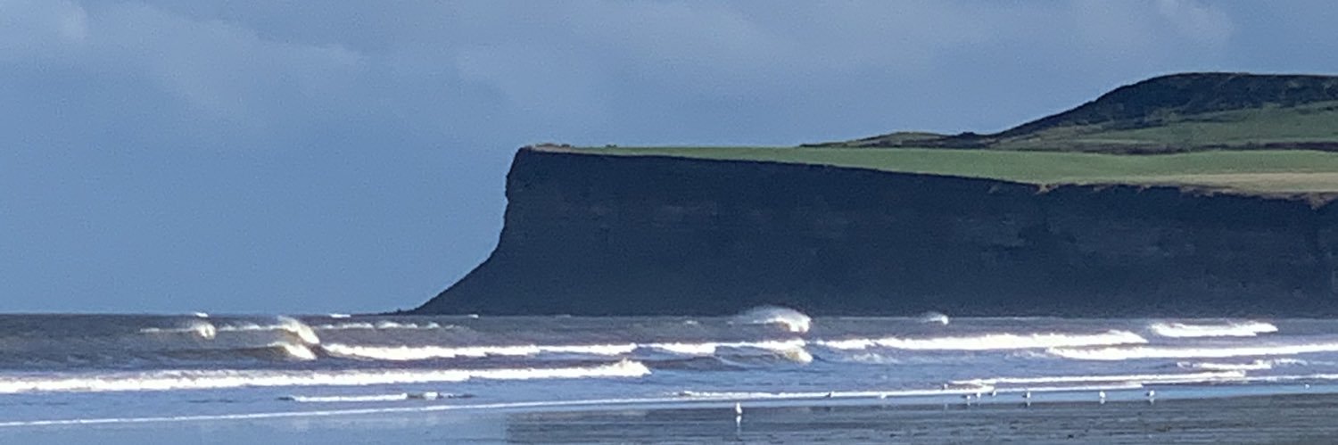 Joanne Speight banner