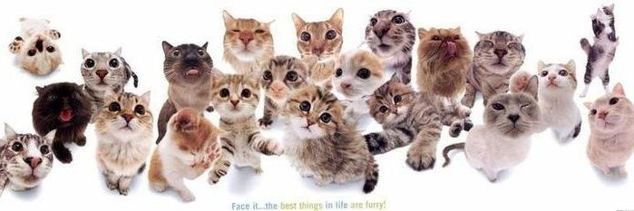 pc satış/takas/devir 🐈 banner