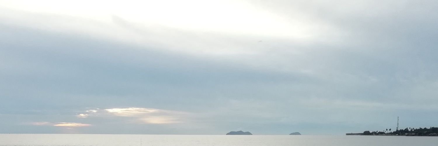 Meyn banner