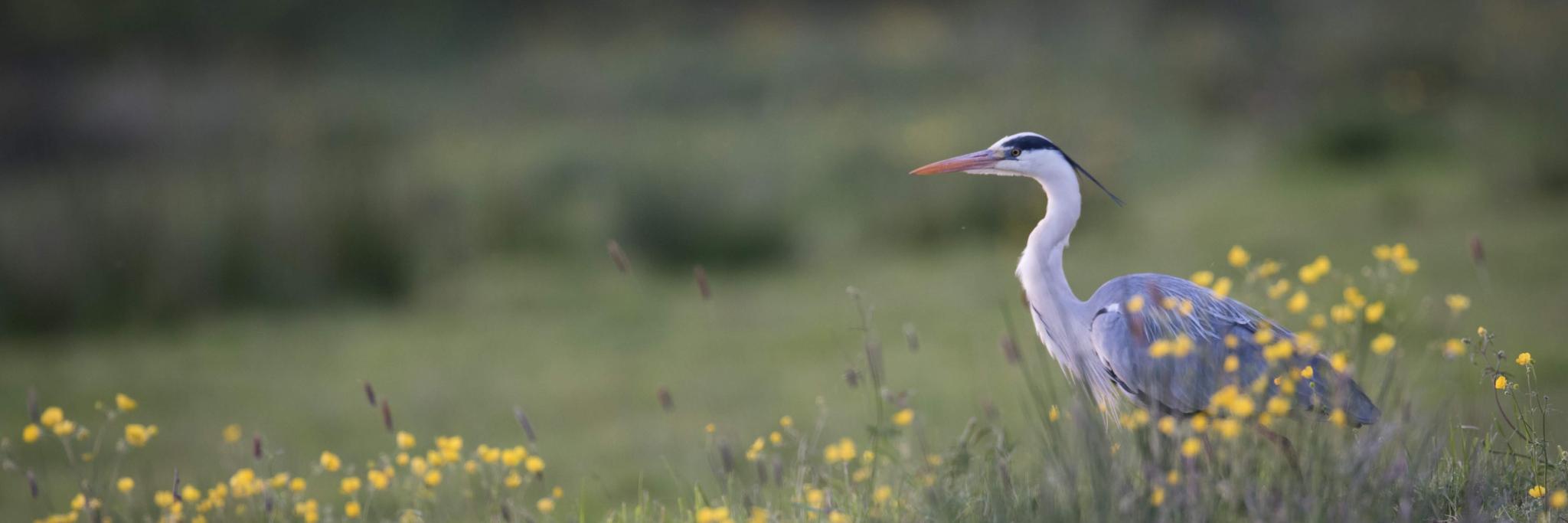 Écopôle CPIE Pays de Nantes banner