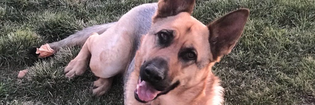 jgrantt24's profile banner image