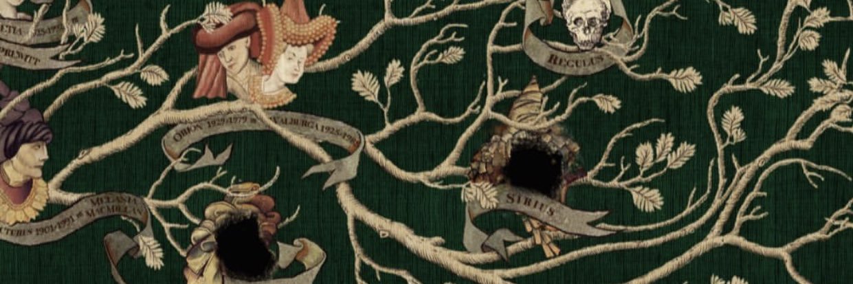neagustafssons's profile banner image