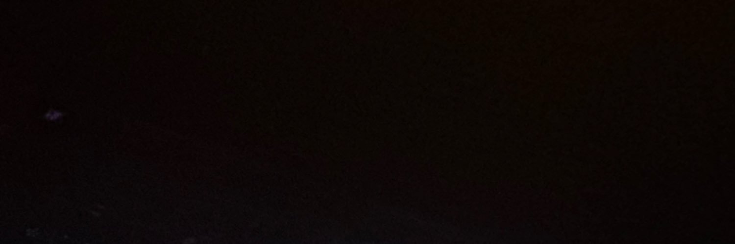 🐹🌟 bio確認ください banner