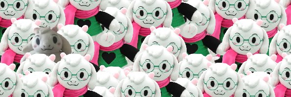 ralseienclosure's profile banner image