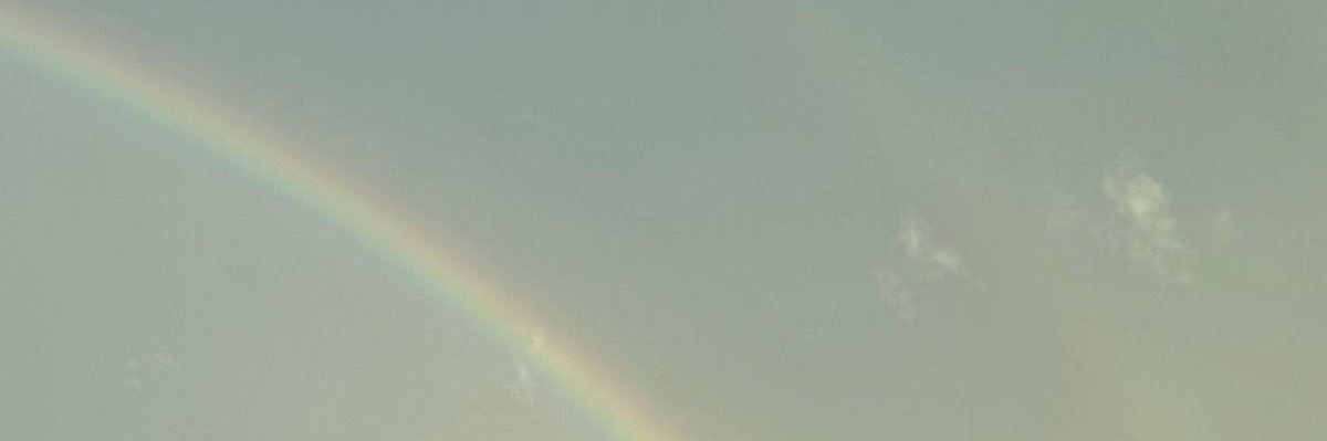 Christine 🌻 banner