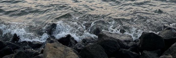 ebrar19998's profile banner image