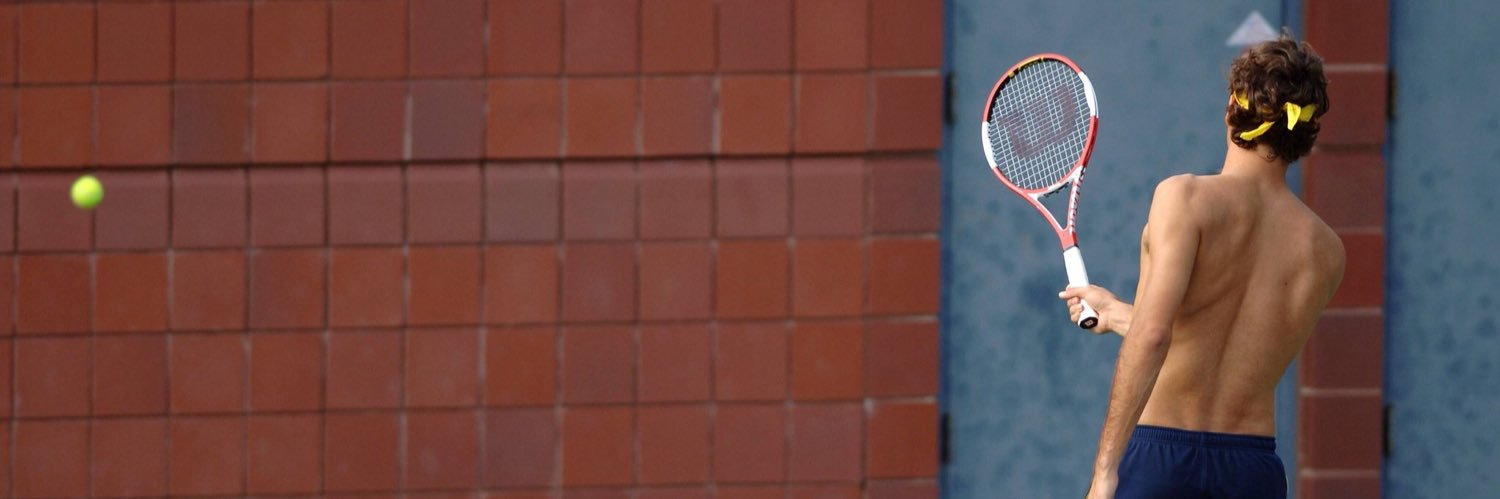 LiloAndDitch's profile banner image