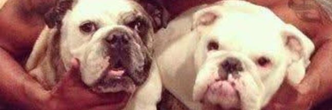 Lydia_Flo1's profile banner image