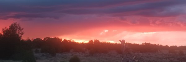 mikejpeav Profile Banner