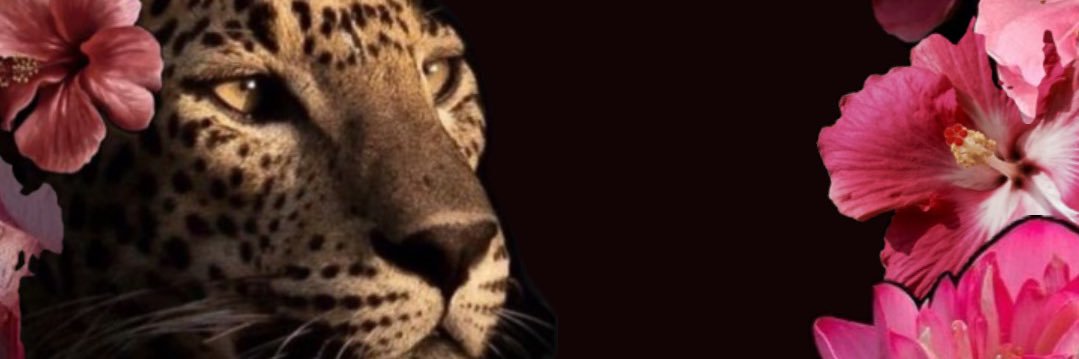 _lifewithjazzy's profile banner image