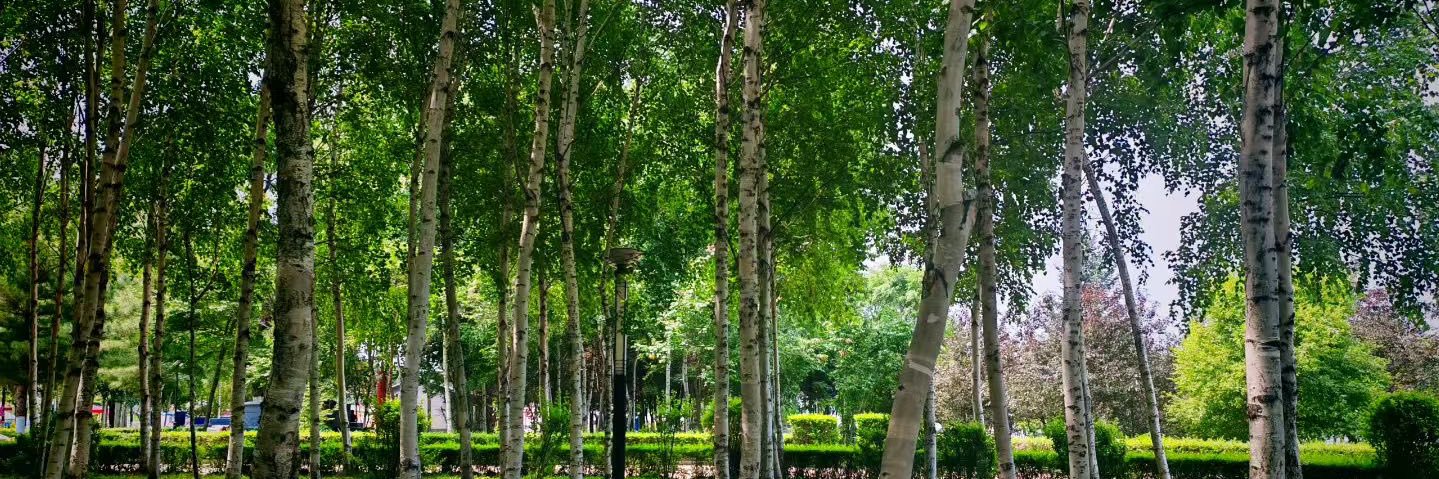 yinjunhao100727's profile banner image
