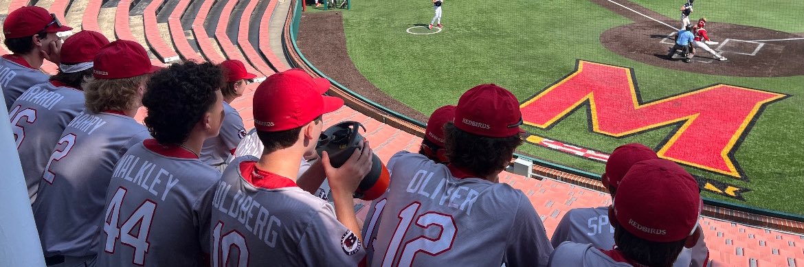 BmoreRedbirds28's profile banner image