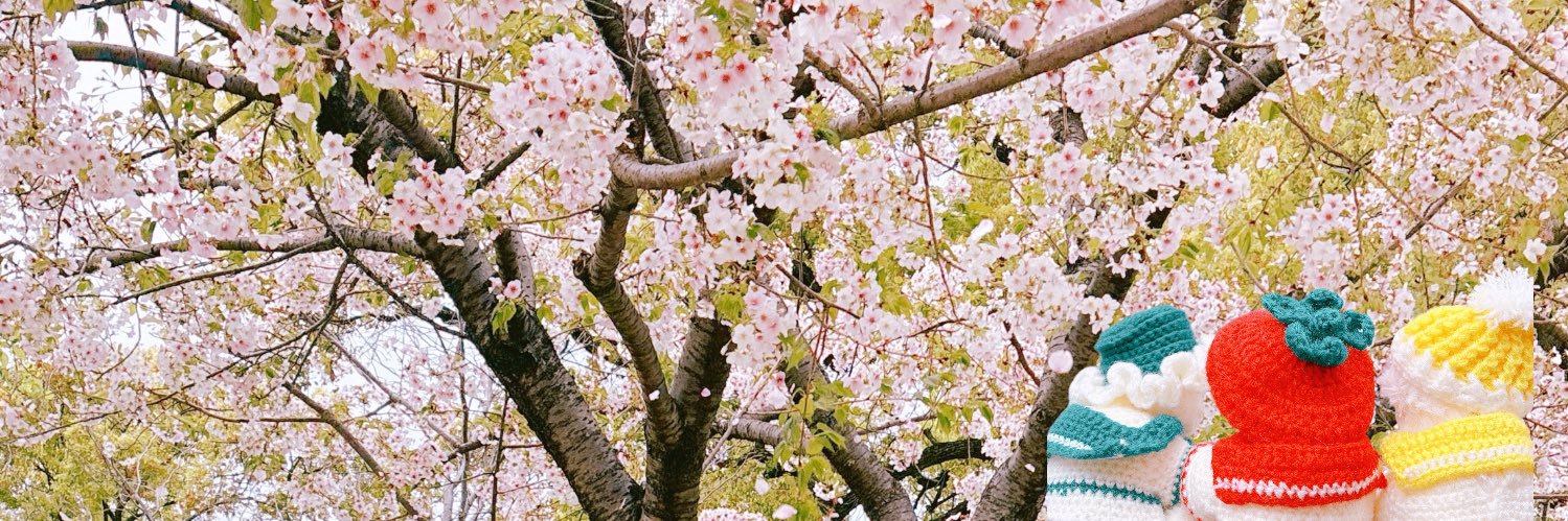すこ banner