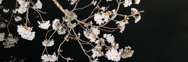 num__iii Profile Banner