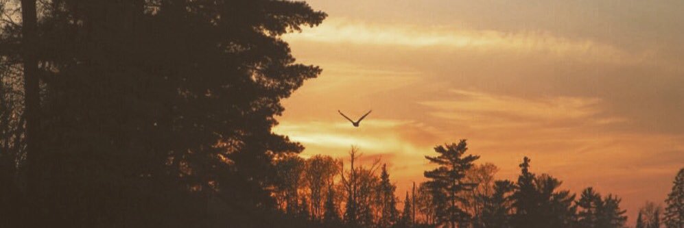 P_mo20's profile banner image