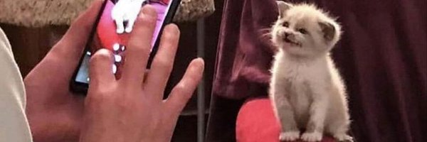 jellyyyta Profile Banner